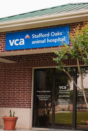 Images VCA Stafford Oaks Animal Hospital