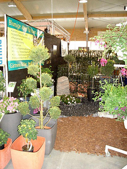 Clalüna Gartenbau GmbH, Scheibenstrasse 6 in Vordemwald