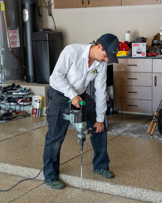 Images Ozone Pest Control