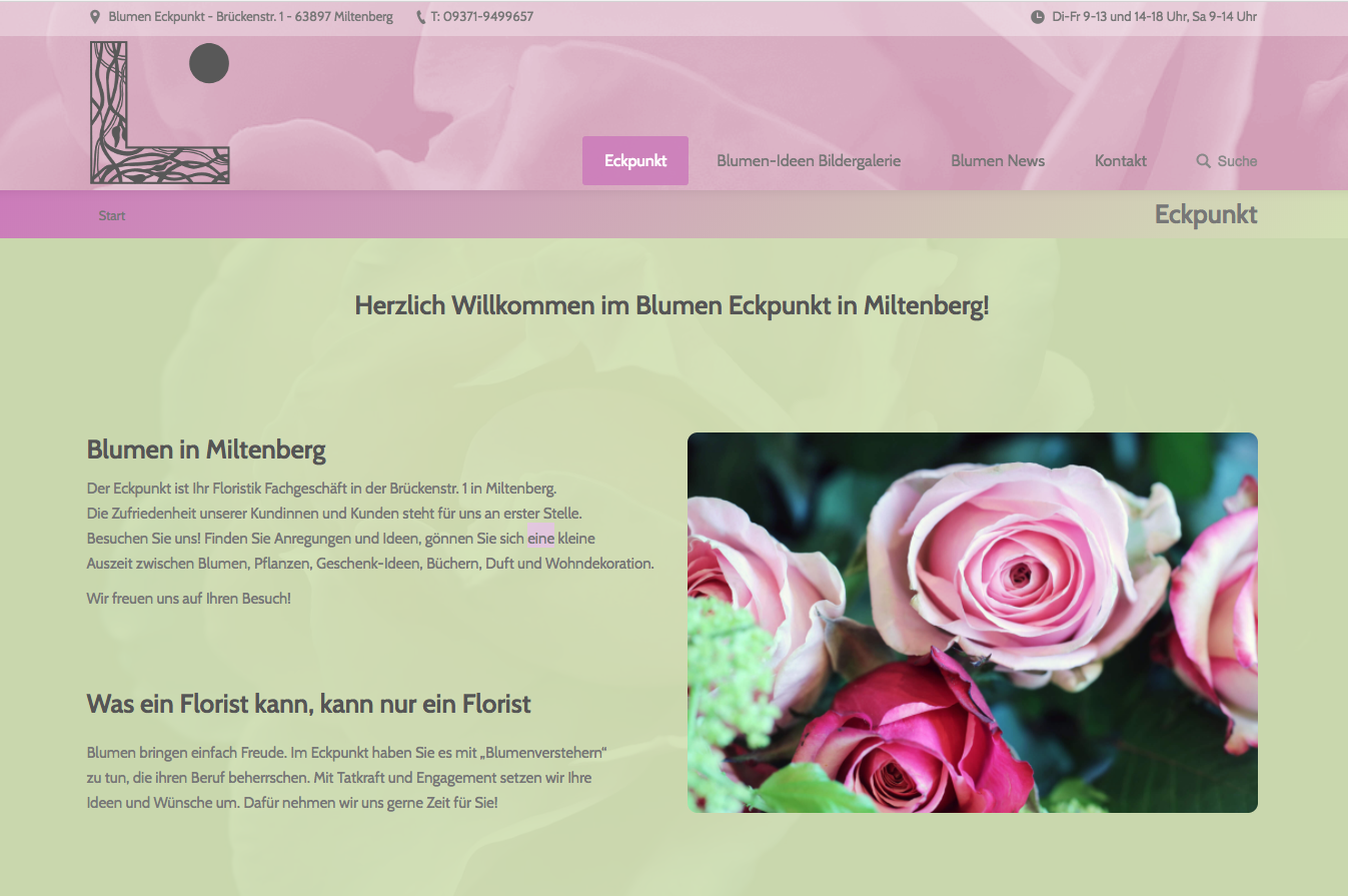 Bild 8 Floristweb in Kitzingen