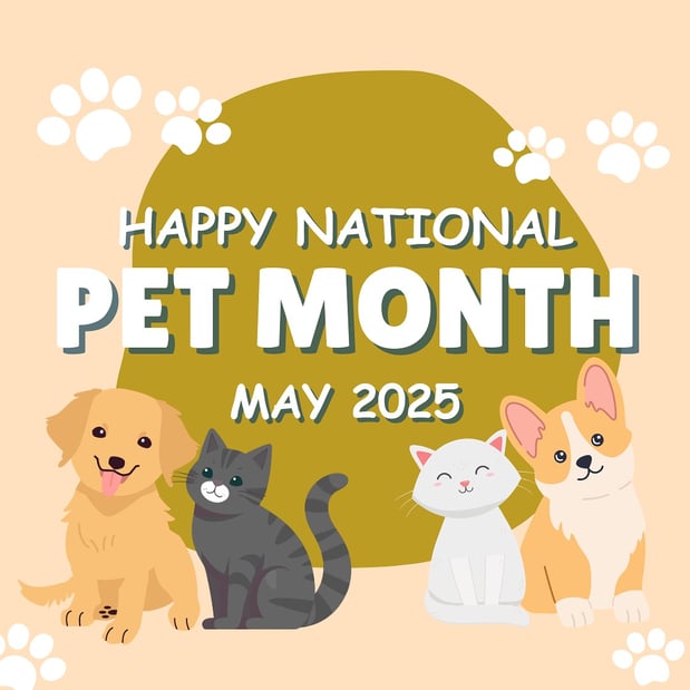 Images Meow Mini Mart