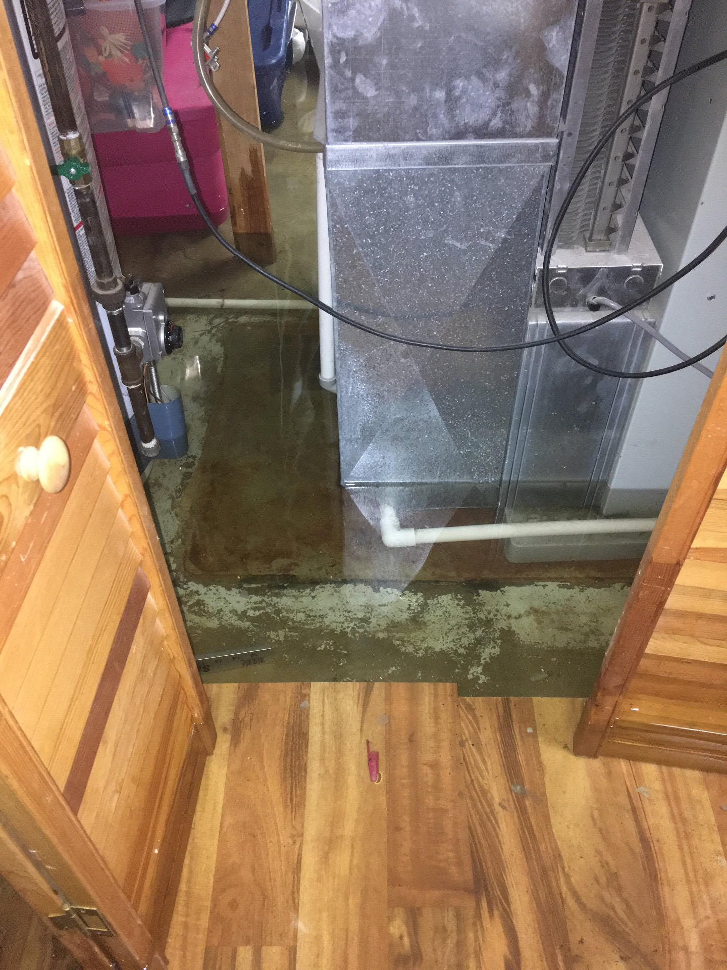 MN Spring Rain and Flooded Basements