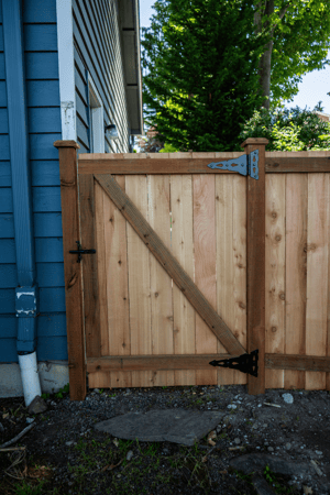 Images Rare Bears Fencing