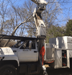 Images H & H Tree Services