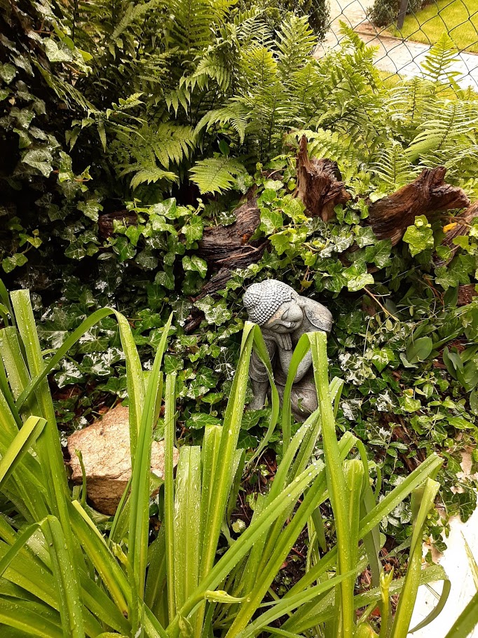 Mag. Ulrike Anzenberger-Wohlfarter. Ihre Psychotherapeutin in 1220 Wien nahe der U1 und in Wördern!, Goldemundweg 8/9 in Wien