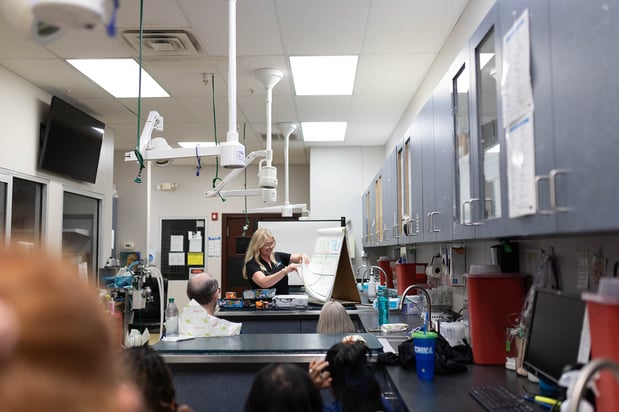 Images VCA Angel Animal Hospital