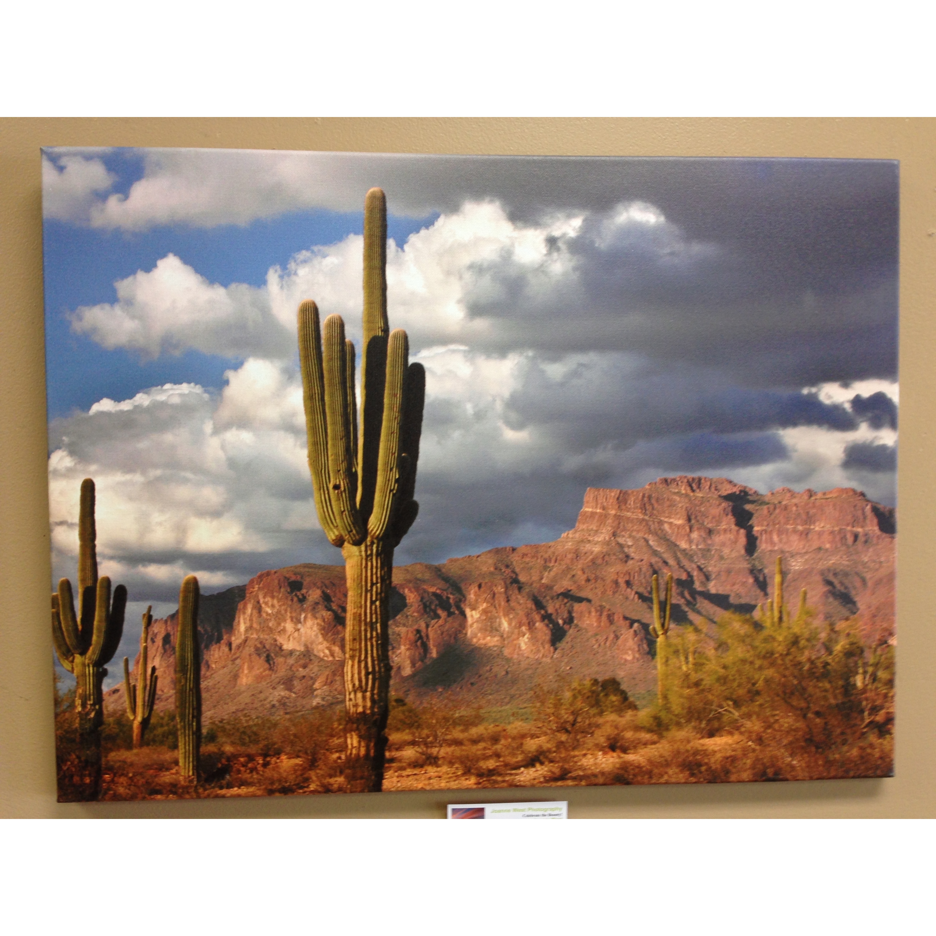 Arizona Desert Sky Builders