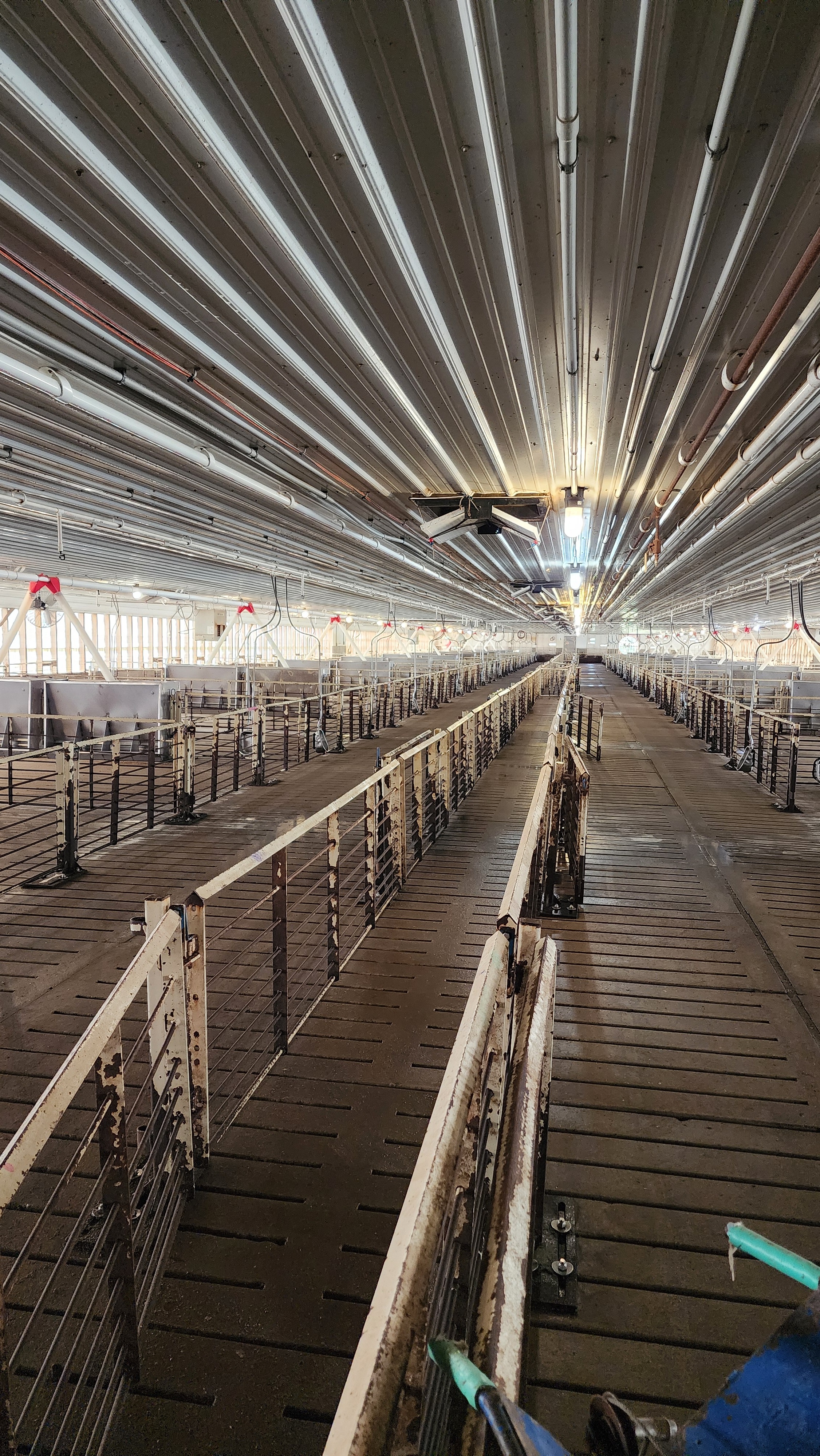 Diamond Pavon Construction LLC Image