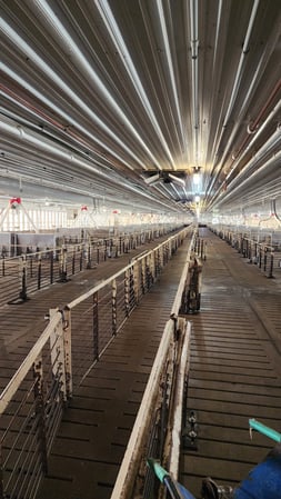 Images Diamond Pavon Construction LLC