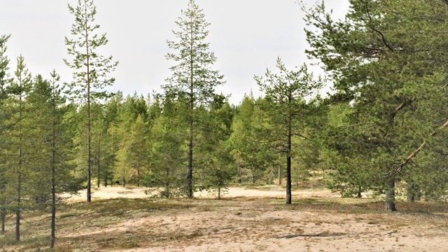 Images Piteå Turistcenter