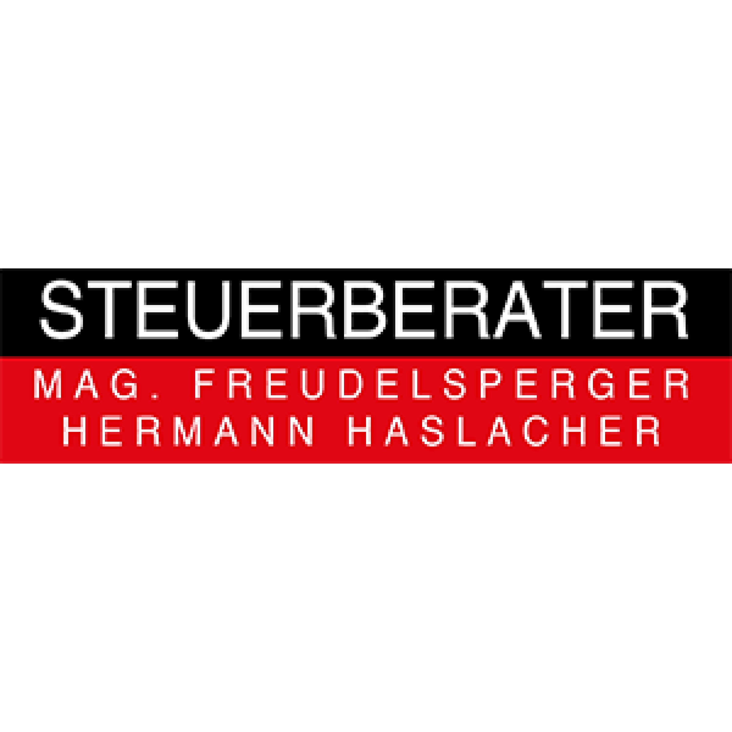 Mag. Wolfgang Freudelsperger Logo