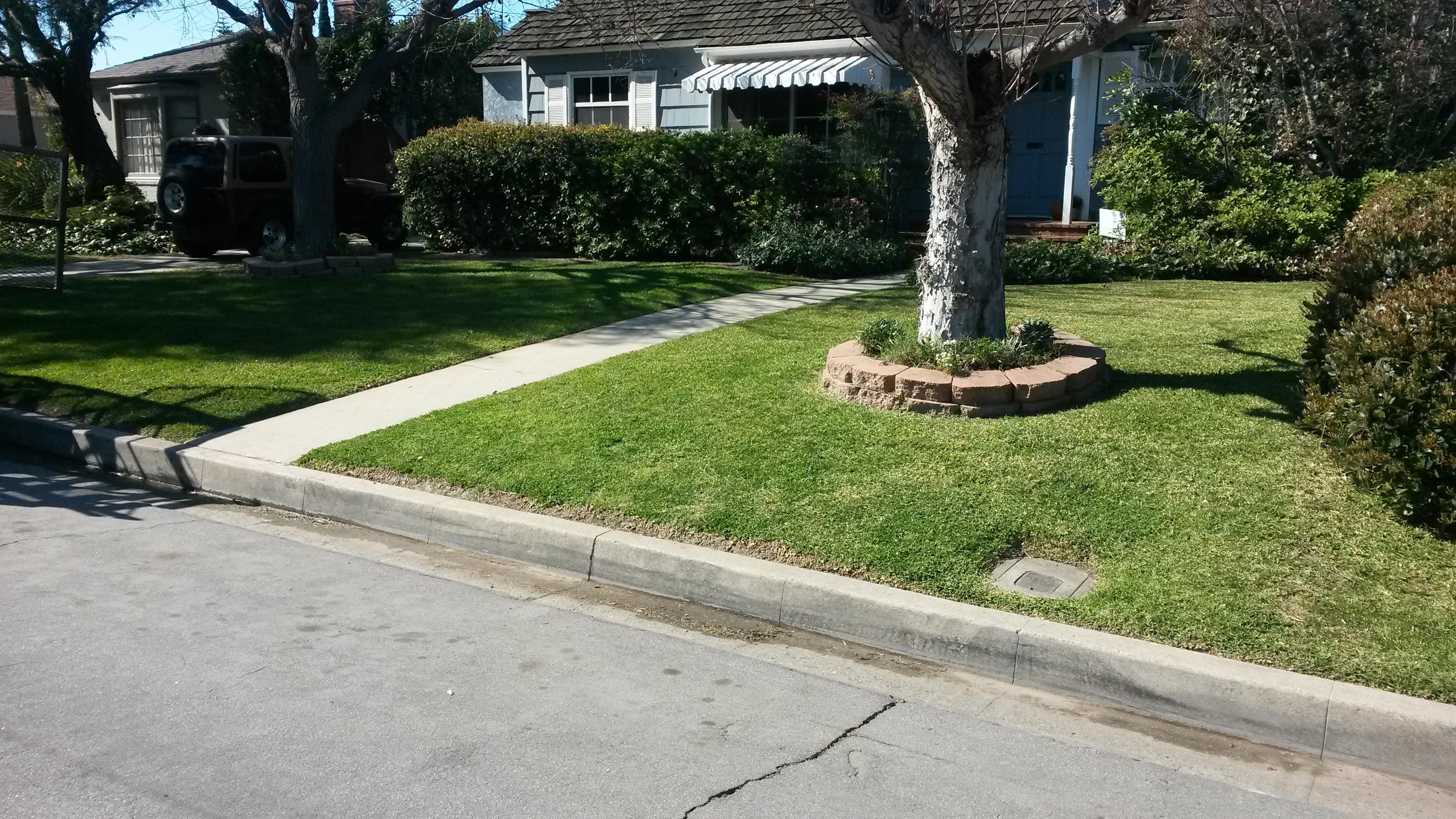 All American Lawn Services