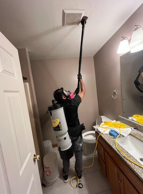 Images Quality Mold Remediation LLC