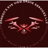 Dragon's Eye View Drone Services LLC Logo