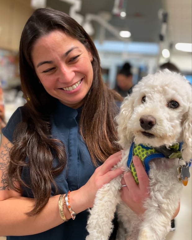 Images VCA West Los Angeles Animal Hospital