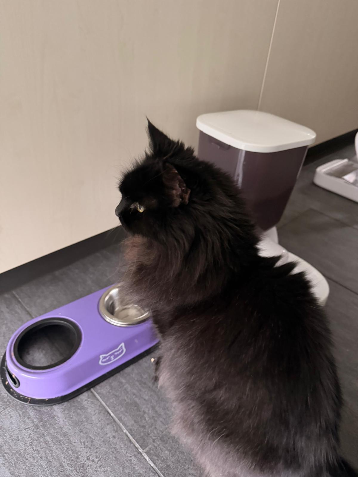 Pet-Relax, Unter Den Hollen 3 in Duggingen