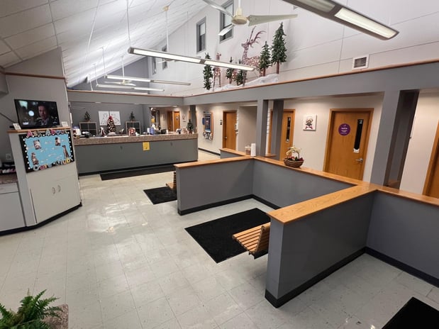 Images VCA Green Animal Hospital