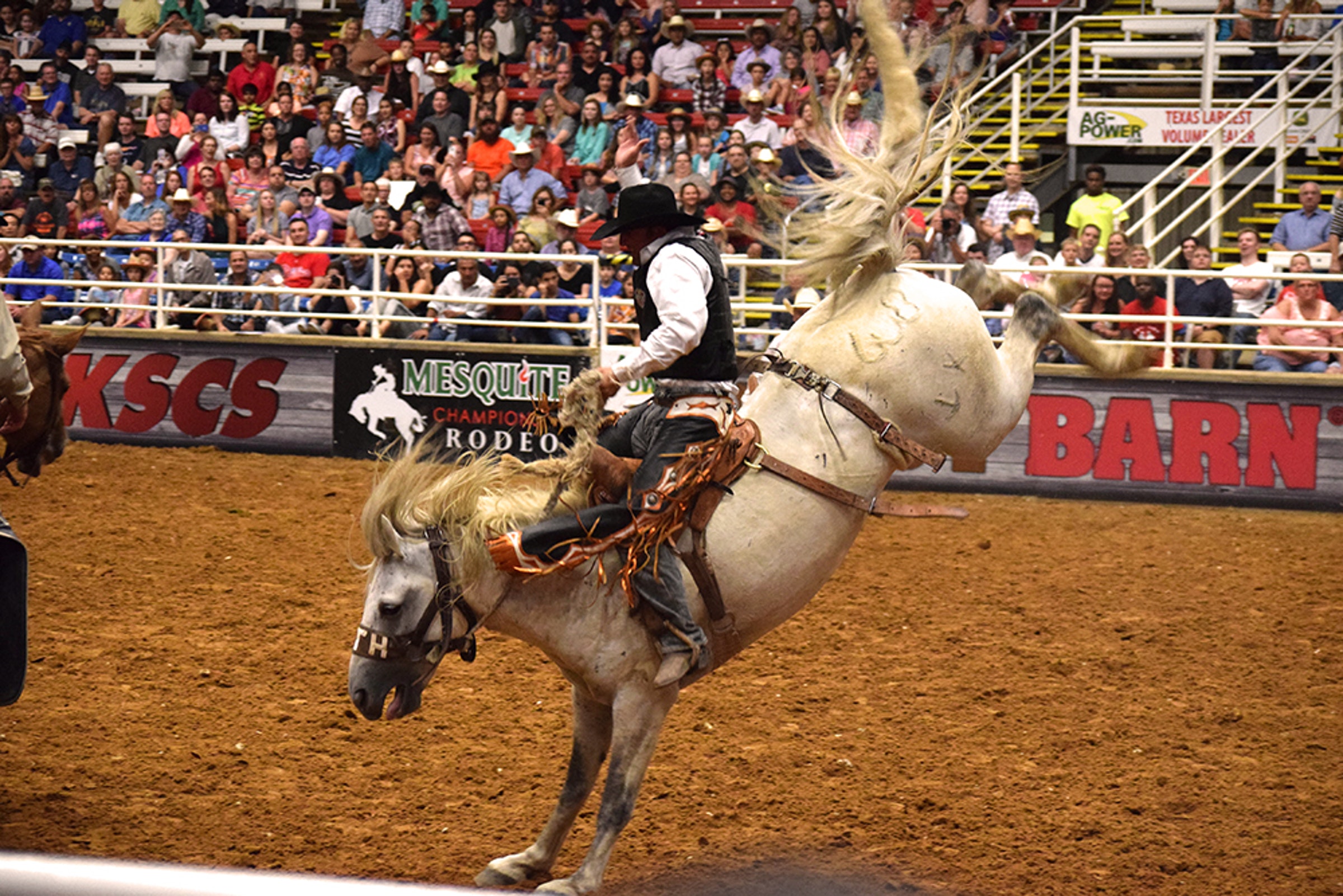 Mesquite Championship Rodeo Photo