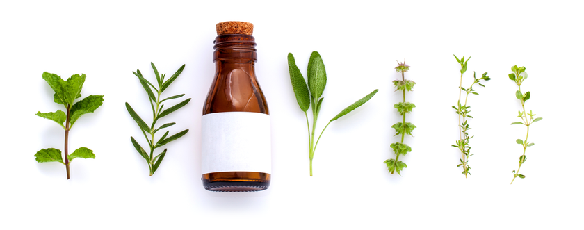 Heilpraktikerin Angelika Eggers - GALLERY