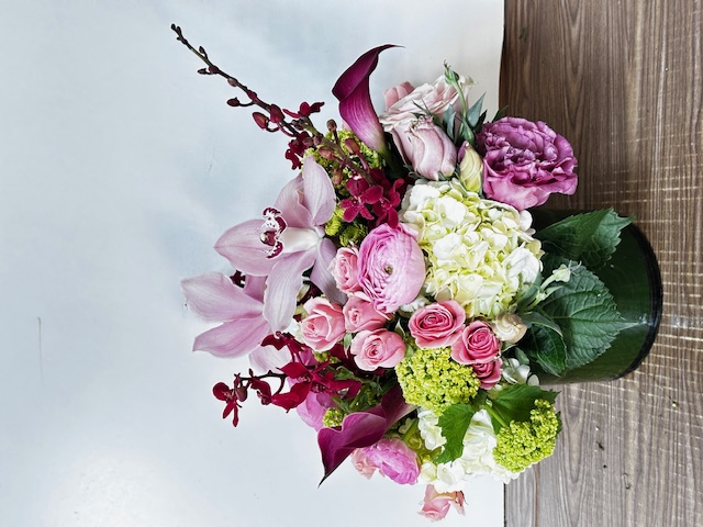 Images Jane's Roses & Flowers