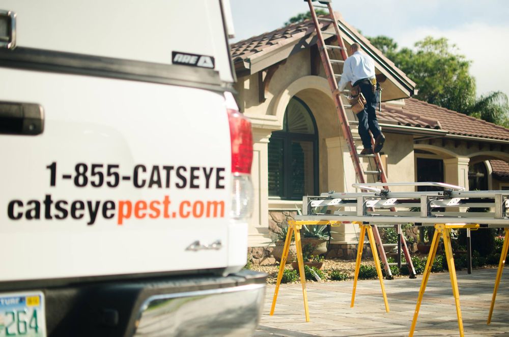 Image 5 | Catseye Pest Control - Boston, MA