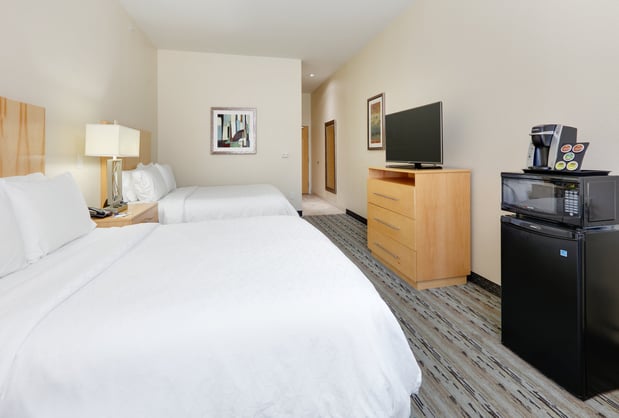 Images Holiday Inn Express & Suites San Antonio - Brooks City Base by IHG
