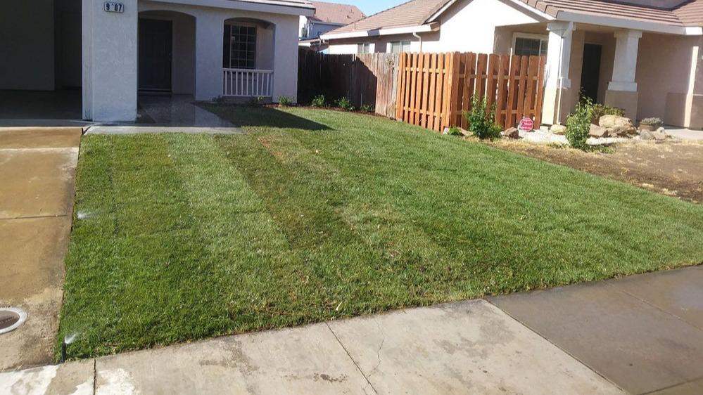 Sit back and relax while 5 Star Gardening takes care of your lawn mowing needs. Our efficient and precise lawn mowing services ensure your grass stays neatly trimmed to the perfect height, creating a well-manicured look for your outdoor space.