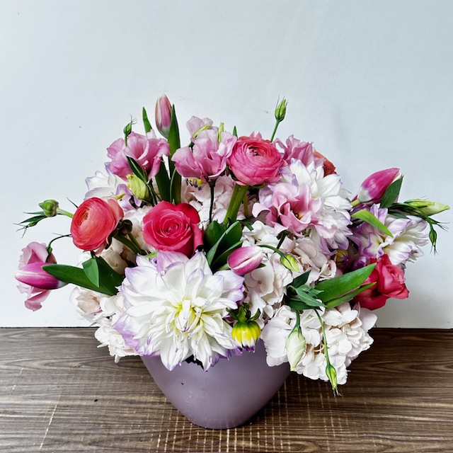 Images Jane's Roses & Flowers