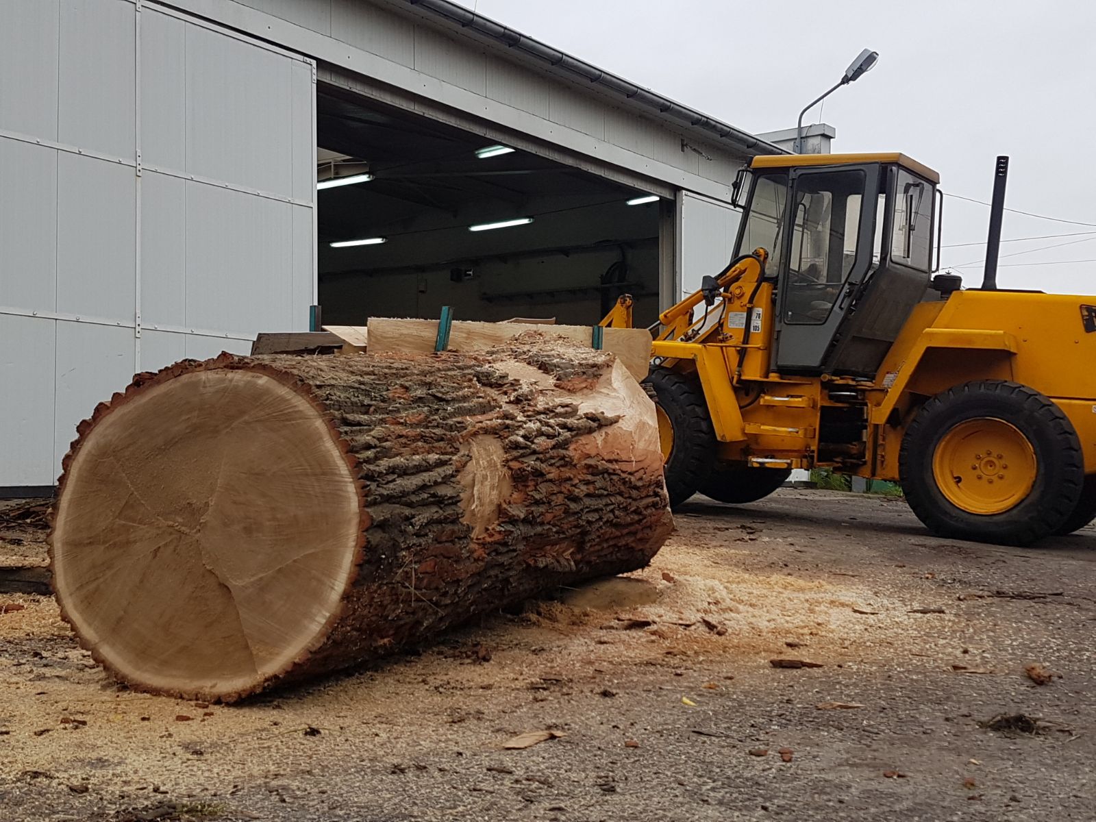 Images Maesmi Maderas