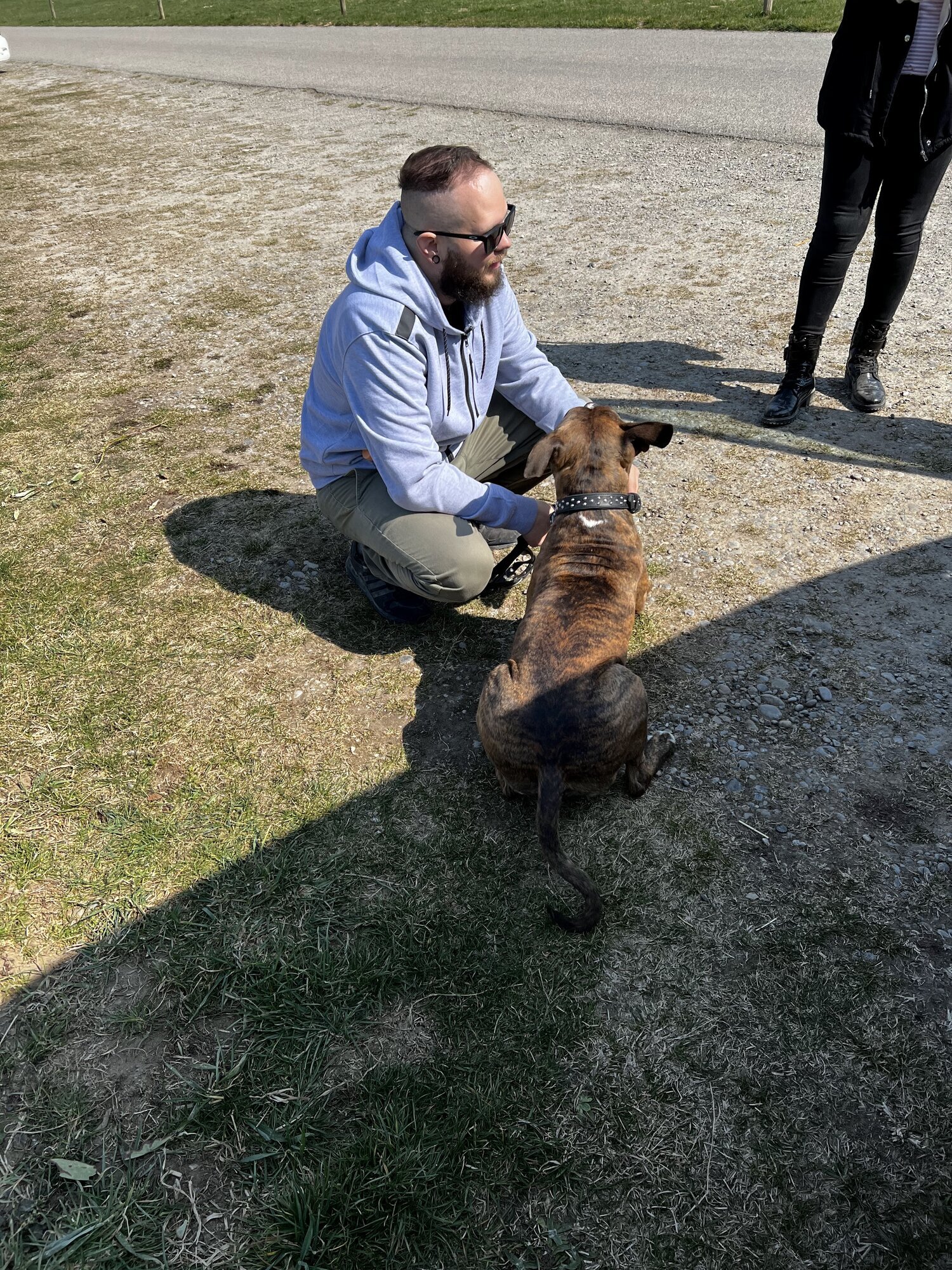 Bilder A-Z-Hundetraining