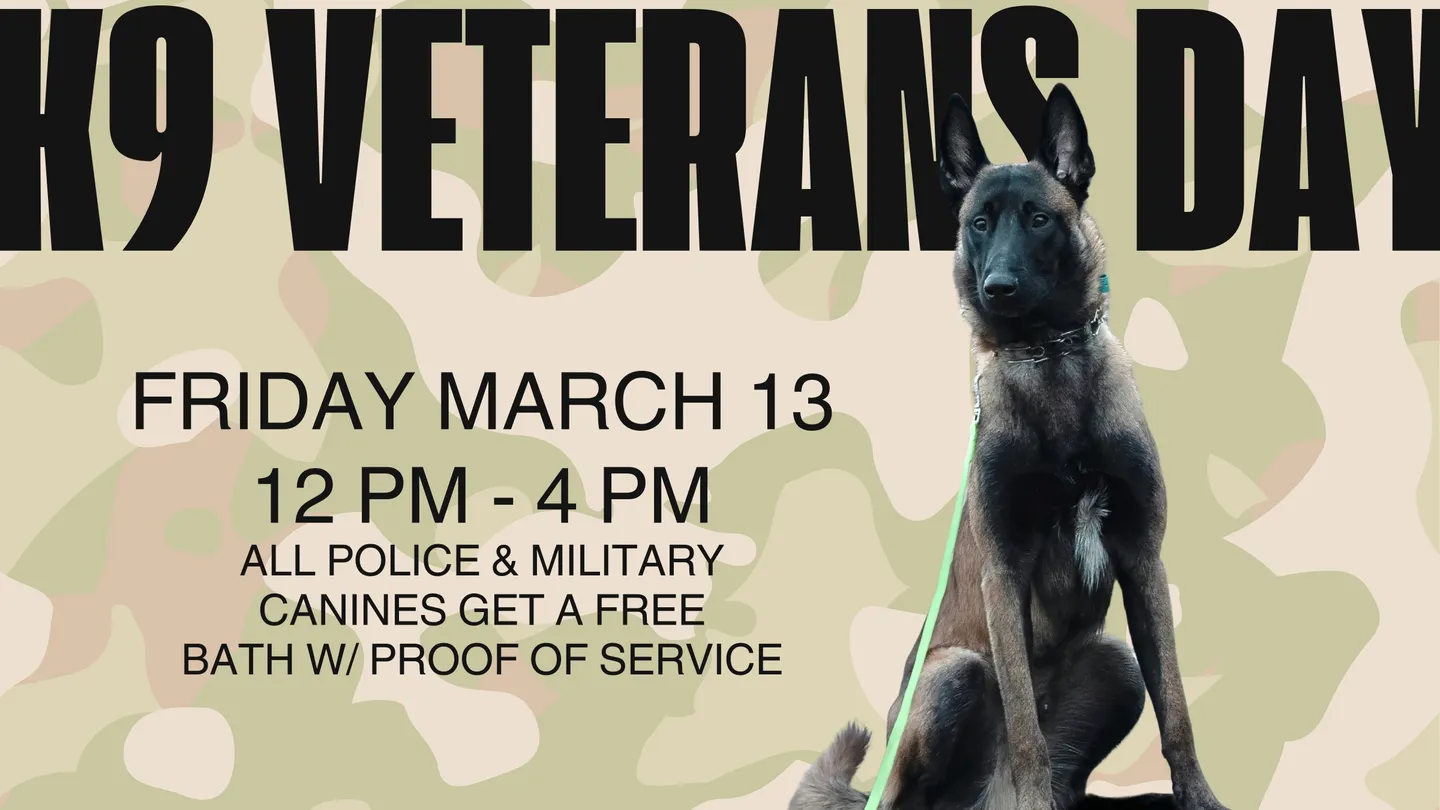 Image of Local Pet Event K9 Veterans Day Nearby