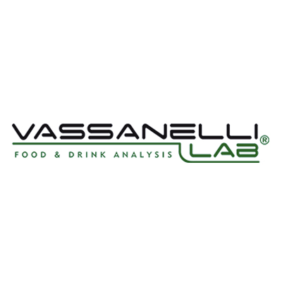 Vassanelli Lab Logo