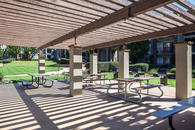 Pergola with picnic tables and gas grilling stations.