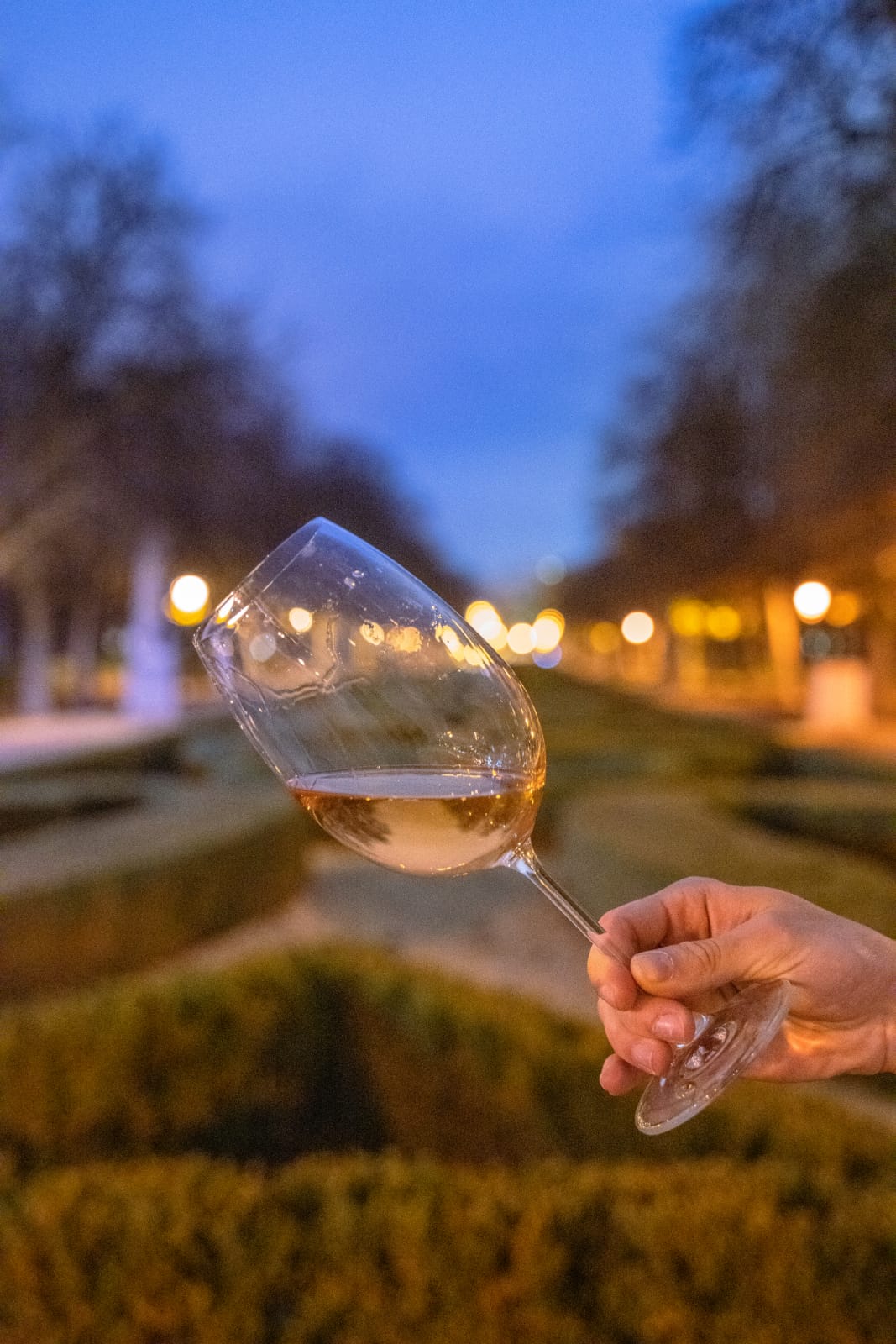 Images Bodegas y viñedos Ventua