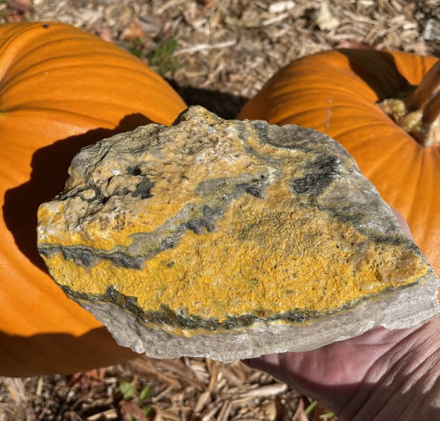 Images Gem Adventures Jewelers & Rock Shop