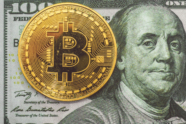 Images Bull Blockchain Law