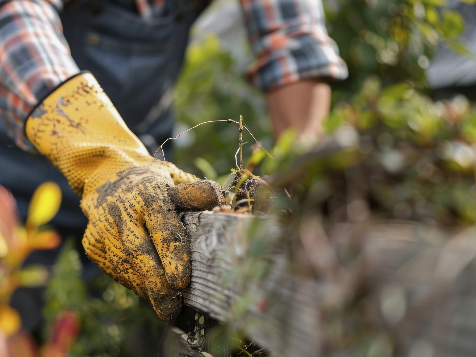 Metropolitan Tree & Landscaping Corp