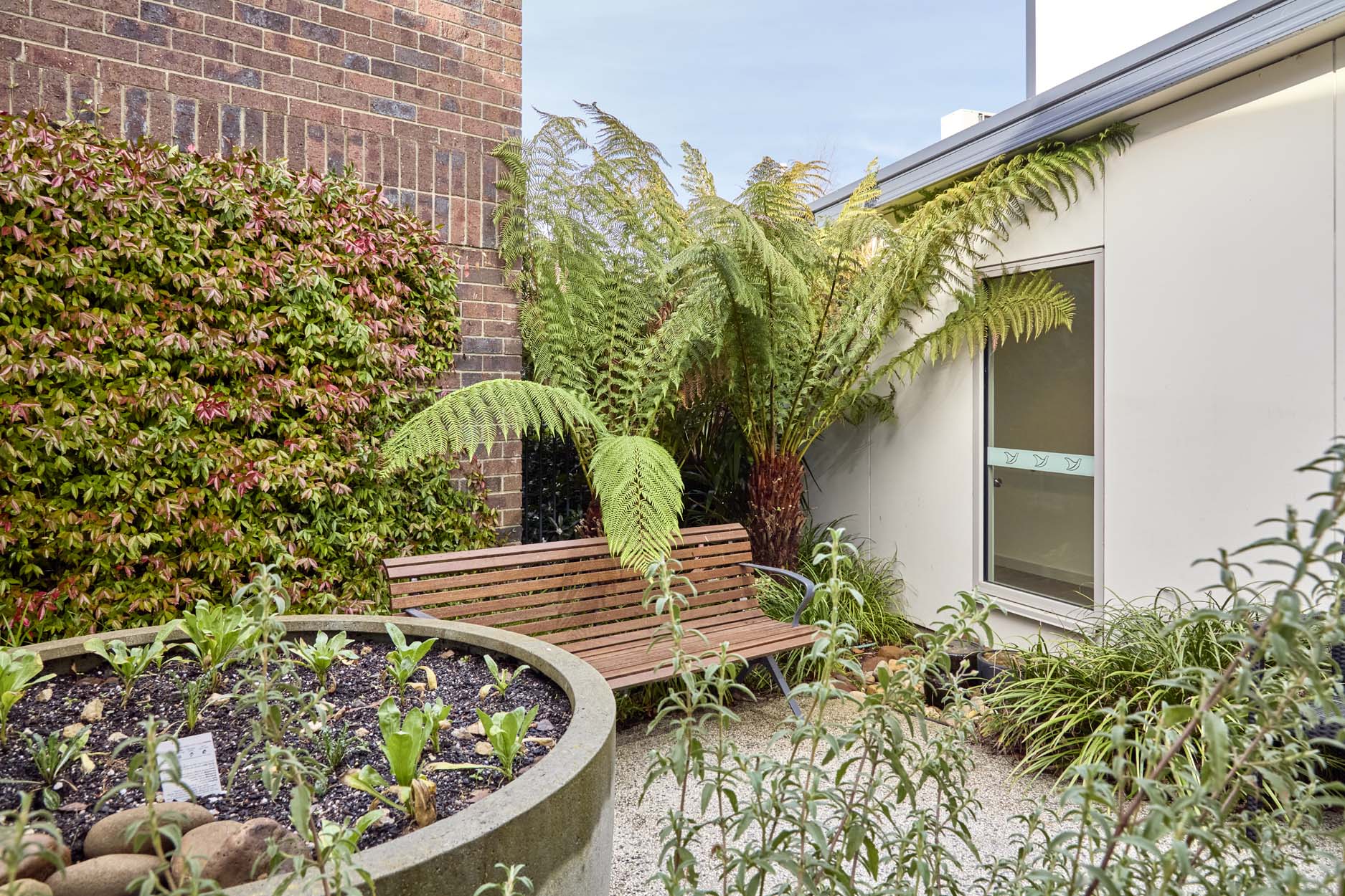 Images Uniting AgeWell Latrobe Community, Strathdevon