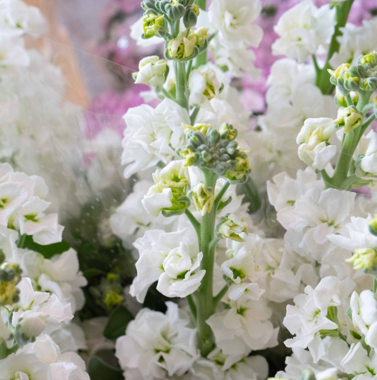 Images Flor Market