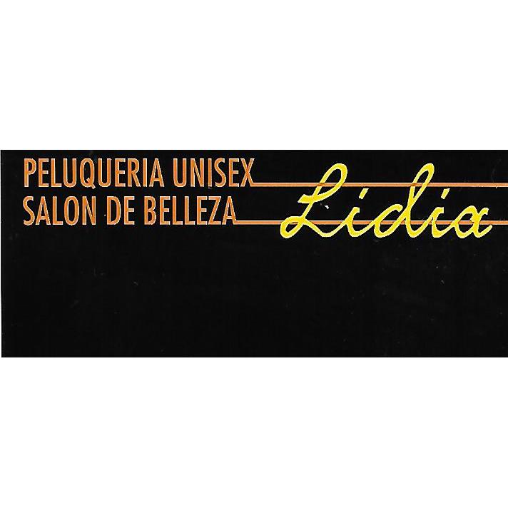 Peluquería Lidia Logo