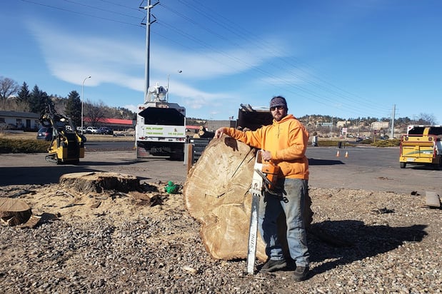 Images Mr. Stump Tree Service