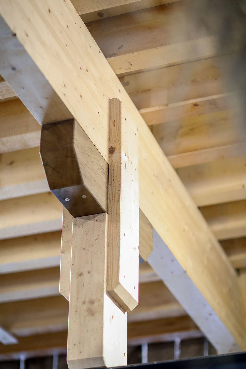 Hitz Holzbau AG, Industriestrasse 11 in Neuheim