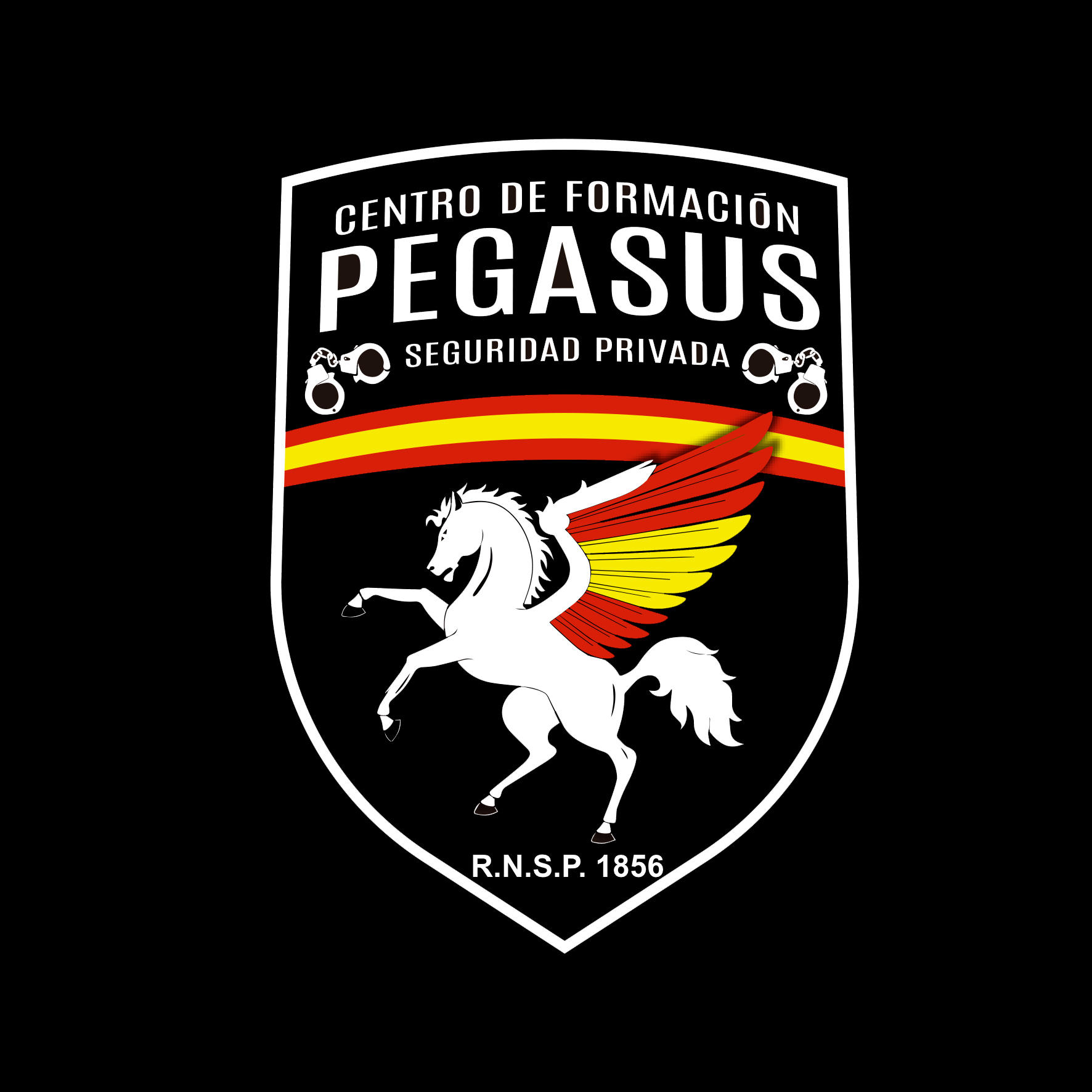 Academia Pegasus Formación Logo