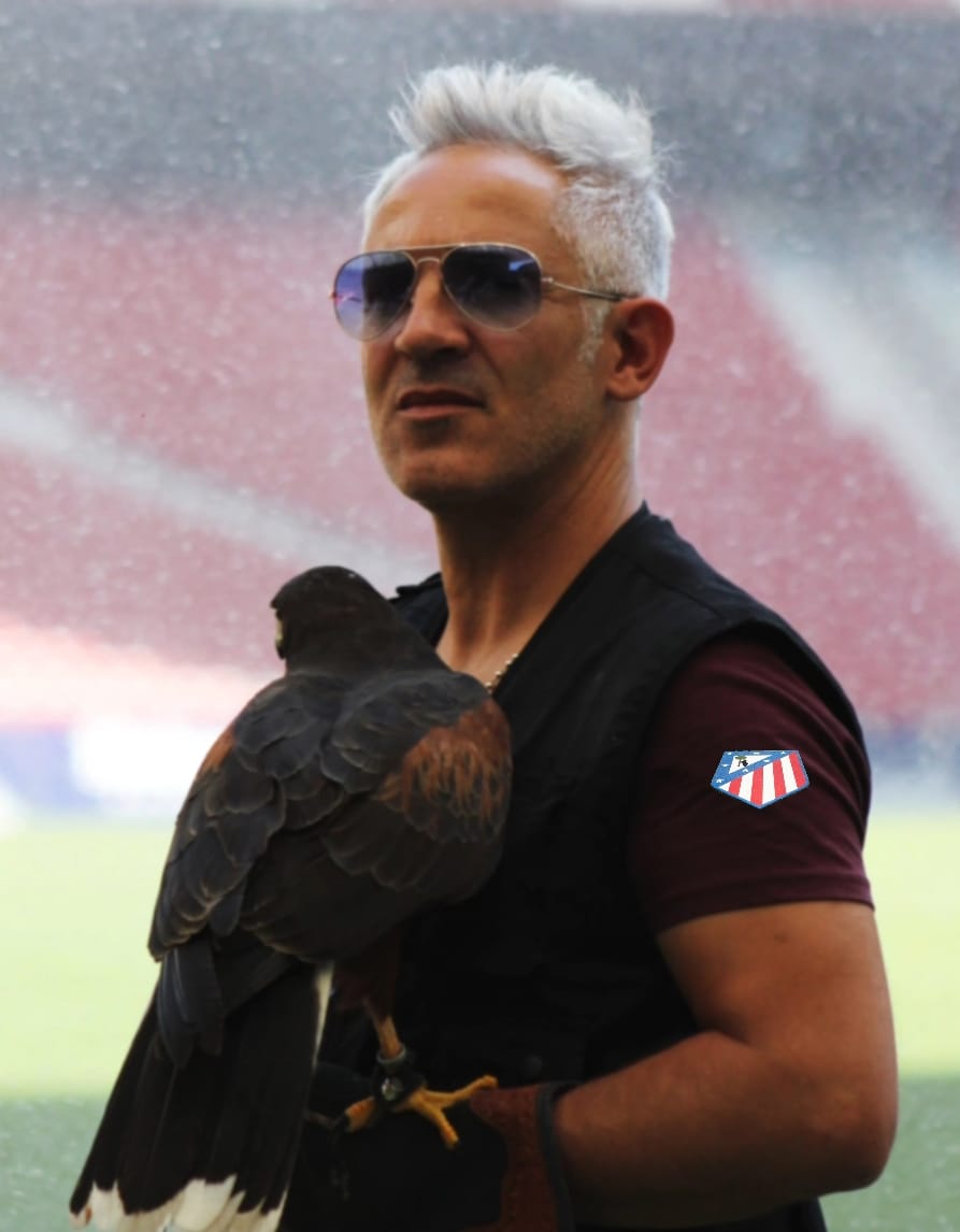 Images Bird Control Falcon S.L.