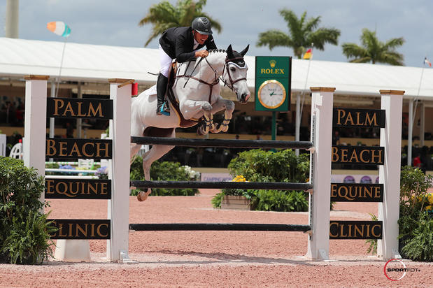 Images Palm Beach Equine Clinic