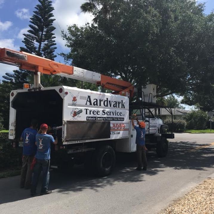 Aardvark Tree Services, LLC Photo