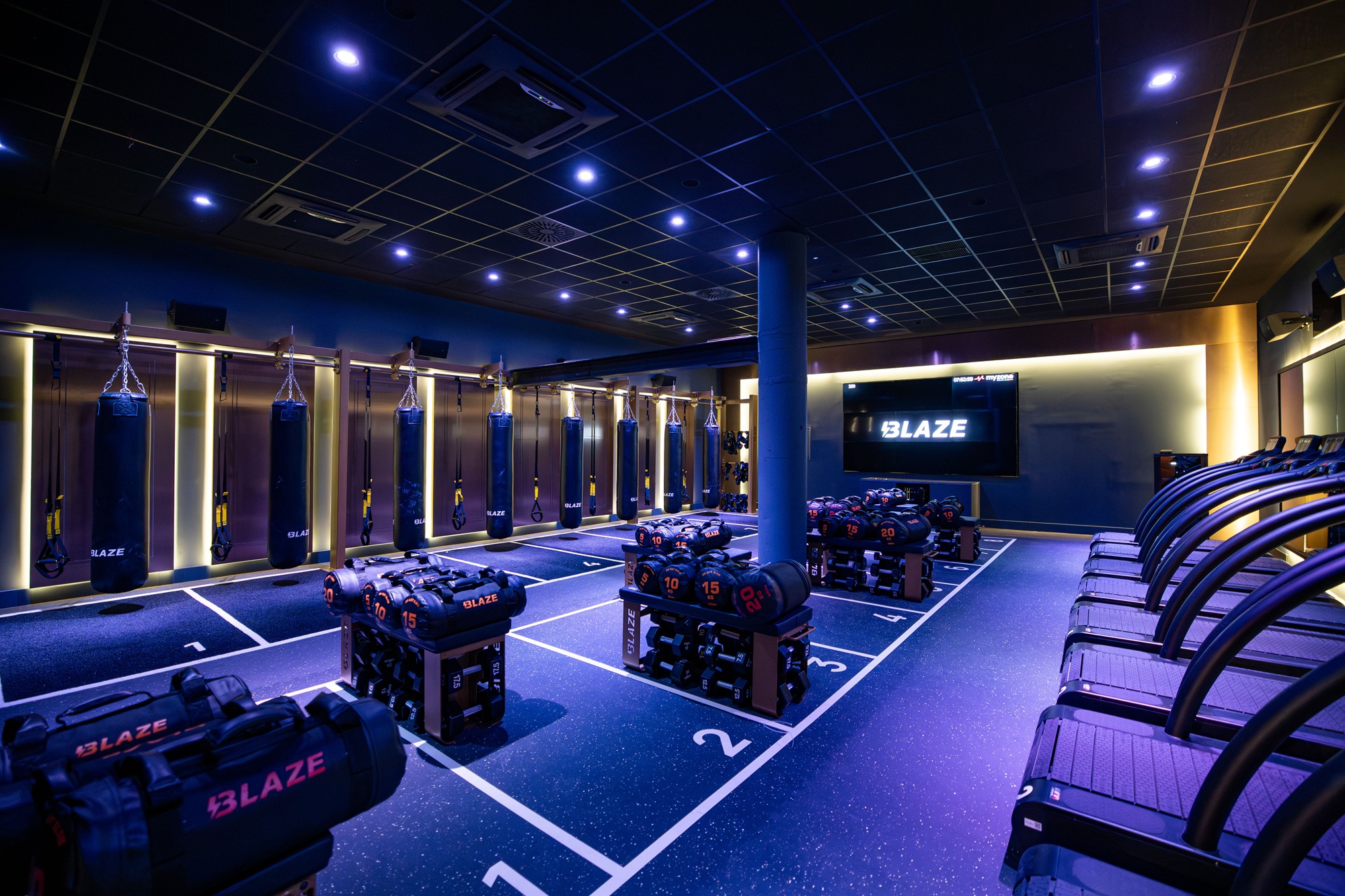 Galería en miniatura