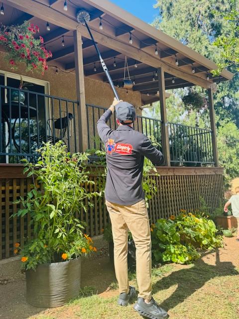 Images Gingerly Pest Control