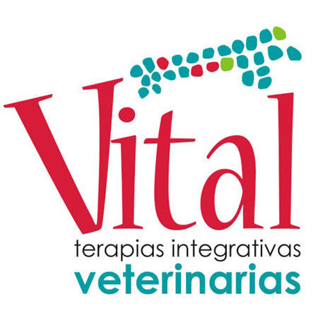 Vital Veterinaria Terapias Integrativas Logo