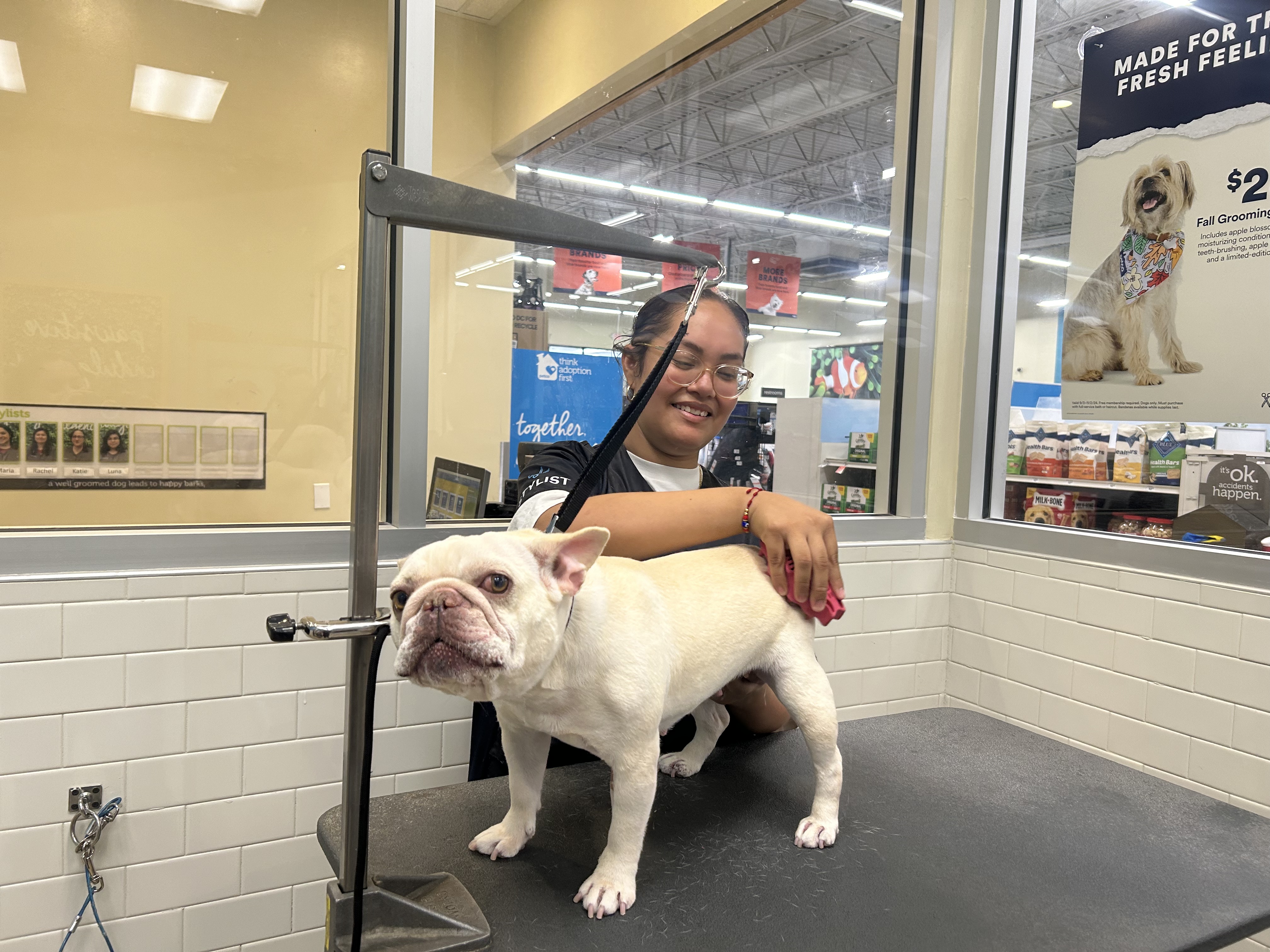 Petco Grooming Image